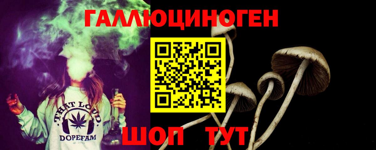 Галлюциногенные грибы мухоморы Барабинск
